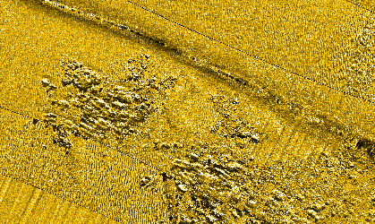 Detail of sidescan sonar