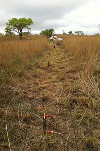 Seismic reflection equipment