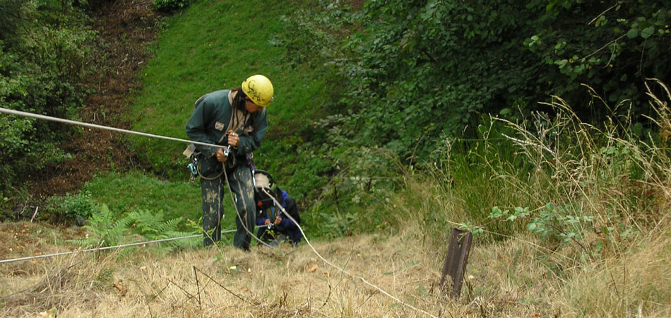 Vertical work team for Seismic refraction